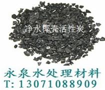 永泉水过滤器专用椰壳活性炭厂家