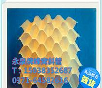 西安蜂窝斜管填料直销厂家